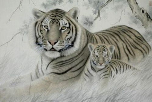 属虎者的名字喜忌