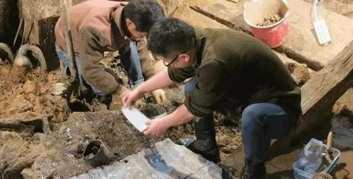 深入调查：月下幽兰居