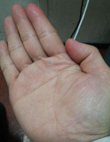 如何通过手相判断坟地位置图解？