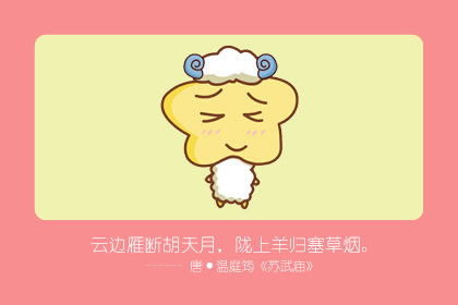 一、 探究背景与对象概述