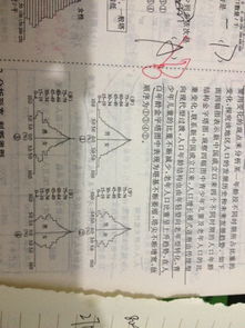 序言：五行星象与属羊人命局的宏观格局