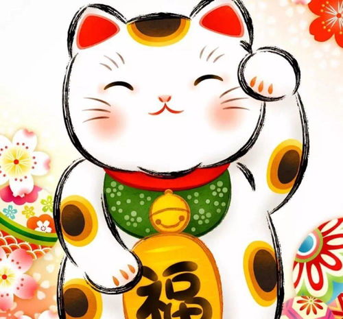 十二生肖鸡今天的财运运势具体表现是什么？