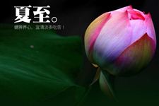 （一） 顺应天时的饮食调理原则