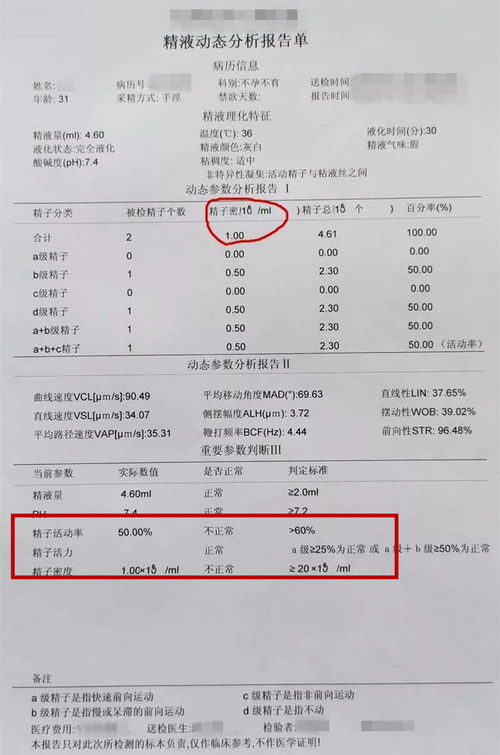 结论与反思