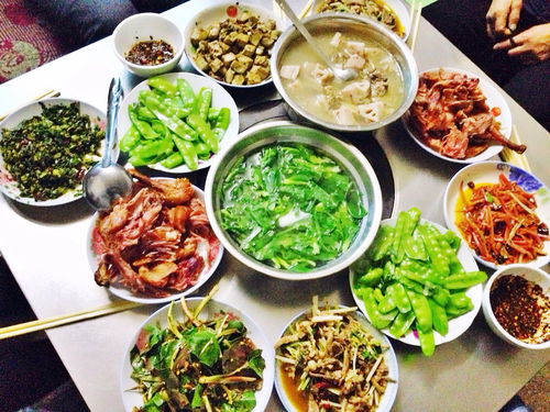 迷失在雪原上的秘密（和一些蚊子叮咬）