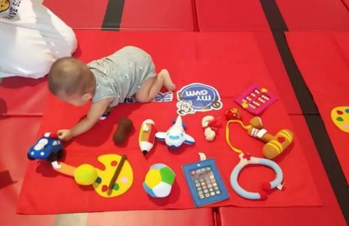 场地布置与摆放方式