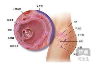 6.  其他潜在症状