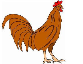 2026年属鸡的吉日选畜禽最佳时间是什么？