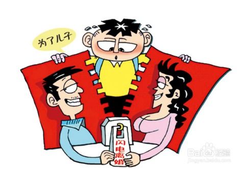 紫微星化权概念之阐释