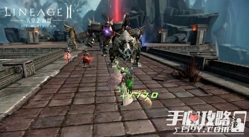 生肖虎：无畏挑战中的自我超越