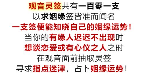 五、  潜在风险与注意事项：意气用事的警示