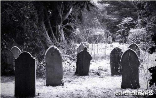 1.1 “雨淋新坟”：祥瑞之兆