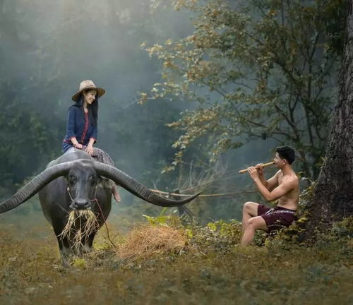 日柱白蜡金属阴金还是阳金？如何判断八字日柱的金属性？