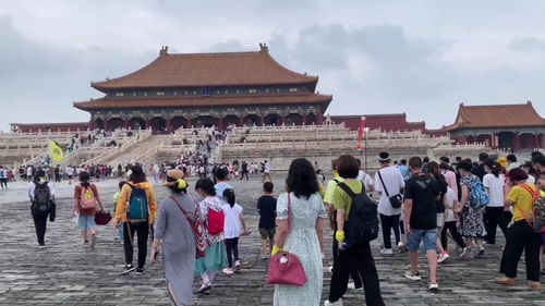 四、  不同人群参观体验差异化：针对性服务策略
