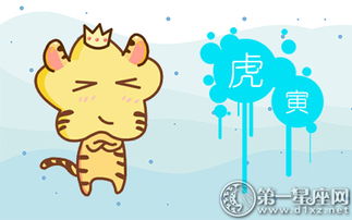 3.1 生肖本命元辰与风向的共振效应