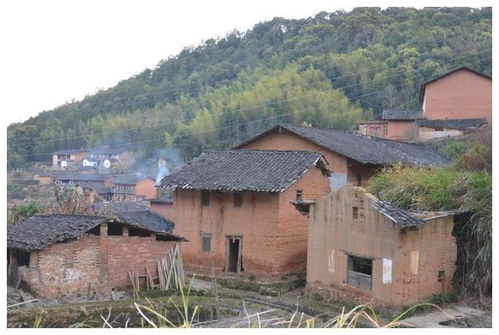 看房子风水价格是多少？如何化解房子进蛇的风水问题？