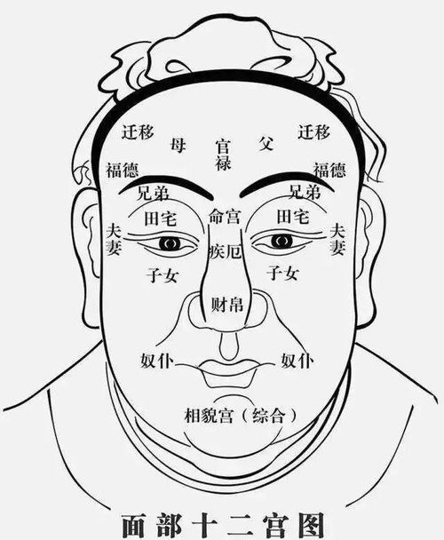 一、 面相学基础：气色与神情
