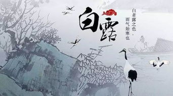 金旺之月的双重奏：申猴的“才运人脉”与情绪管控