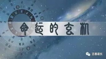 1. 正财与正官：构建和谐关系的基石