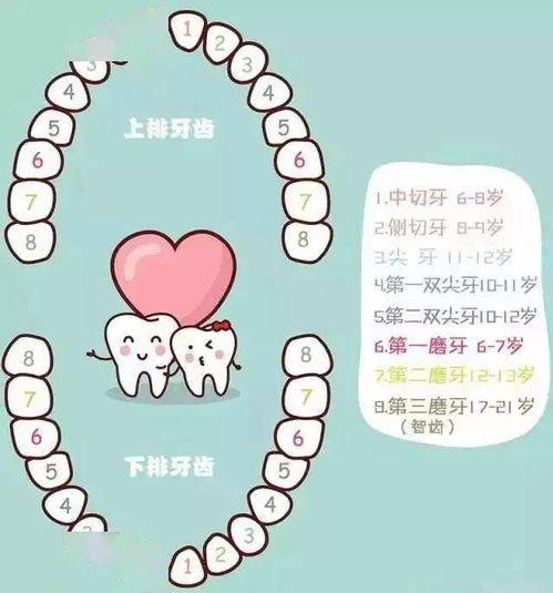 二二 社会周边环境地位及人生轨迹（由微观至宏观）
