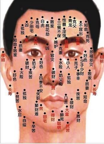 ：面相学在婚配选择中的学术价值