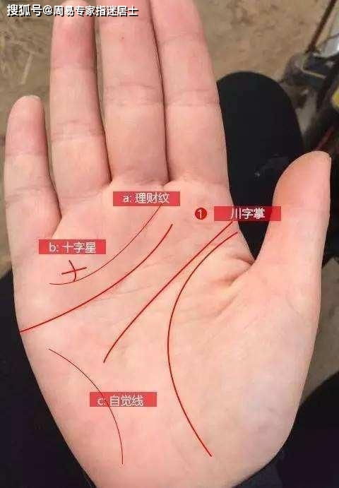 一、 岛纹概念及其在不同掌线中的定位