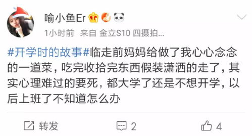 2. 微信号对外公开与身份标识的社会周边环境功能