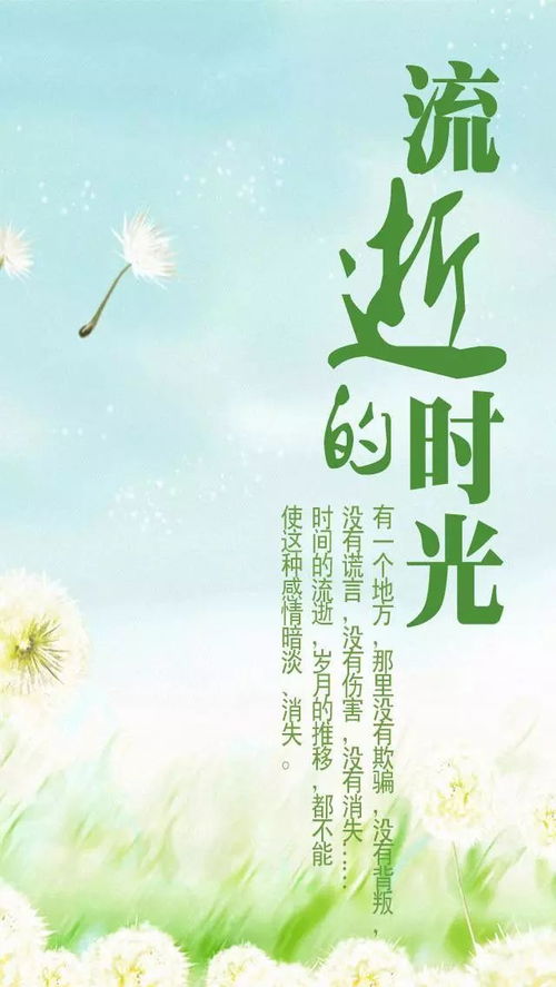 顺其自然：生肖、 风水与时间哲学的交融