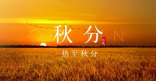 乙巳年营建家宅：顺应自然规律与人道智慧