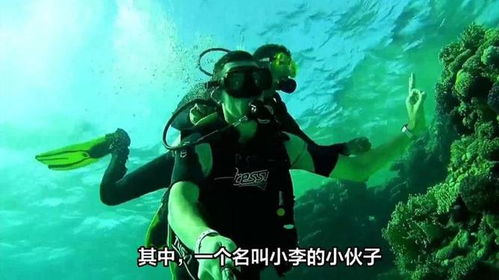讨论