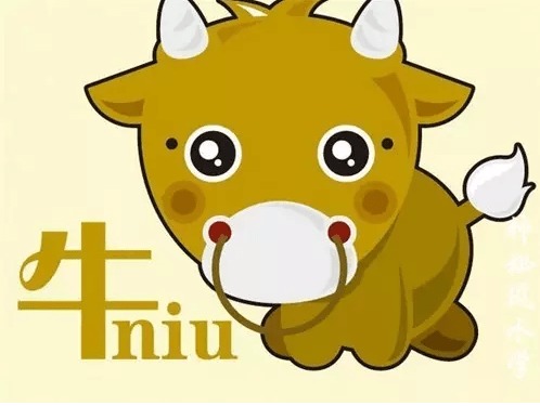 十二生肖6合12生肖精美小礼品指的是什么？