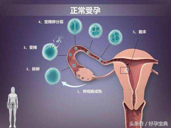 二、如果它们真实的有感觉...那么那感觉是哪些样子呢?