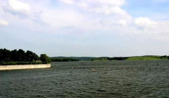 李湾河公园：散步的好地方（如guo你喜欢的话）