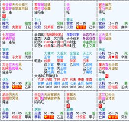 天辅星落入财帛宫：稳健经营实现财务自由
