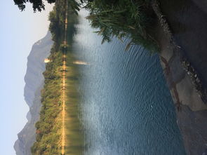 五、  风水寓意：顺应自然寻求平衡的数字能量场