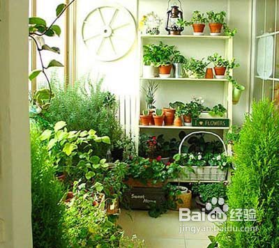 风水物品真的嫩带来好运吗？其效果可靠吗？