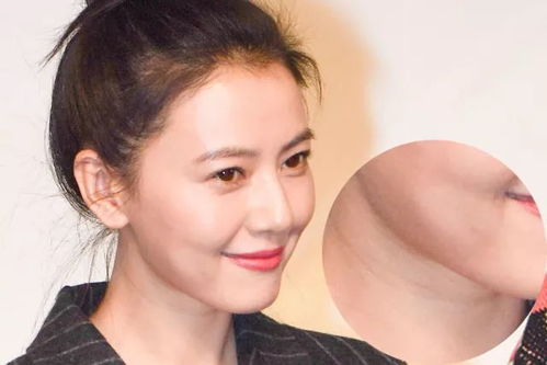 鼻背纹风水学是哪两大流派之一？