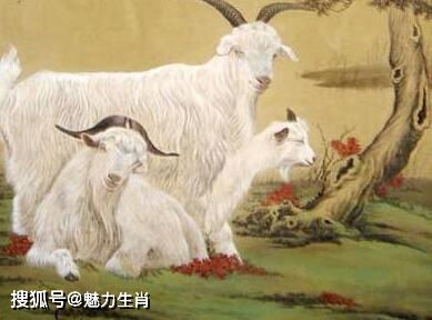 属羊的人能住18层吗？属马和属羊的人住几层楼房最吉利？