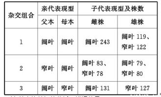 周易的哲学基础与预测机制