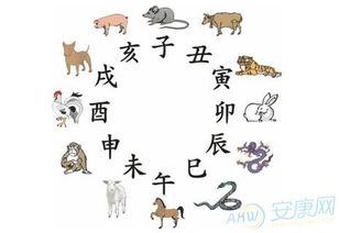 一、 五行视角下的羊与蛇关系阐释