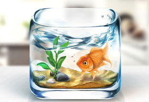 在养鱼风水里从鱼缸中取出的水可依安全饮用吗？