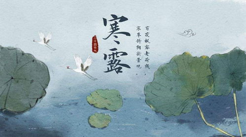 四、 吉凶宜忌综合判定