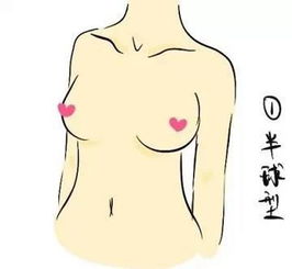 不同胸部类型的特征及其对应的婚姻运势