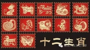 一、  生肖属性与五行数字的深层对应关系