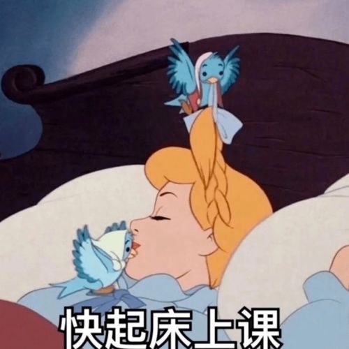 3．生肖猪：单纯善良与温暖家庭的向往