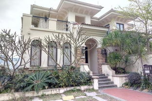 四、 省钱妙招大公开（不保证合法合规，仅供参考）