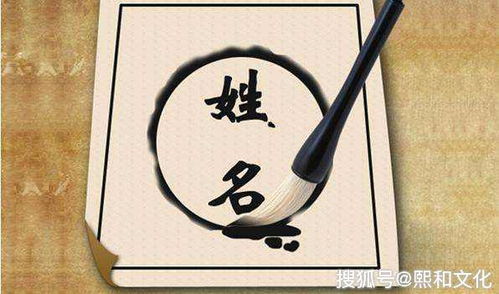 五行属性解析