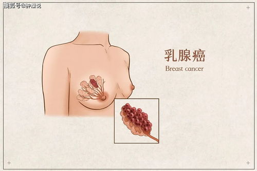 1. 手指细长与情感表达之间的关联