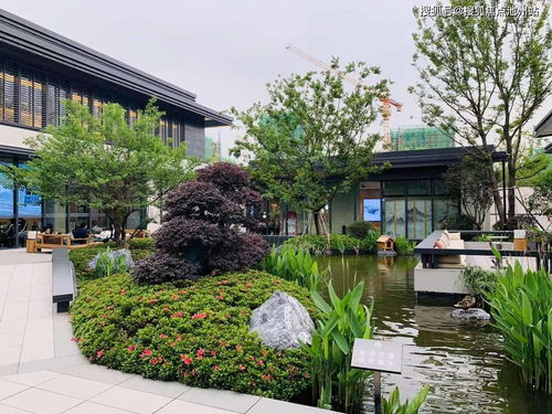 面相学中太阳陷的寓意是什么？嫩否详细解释一下？