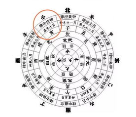 五音十二律与生肖星座：旋律的五行嫩量分析